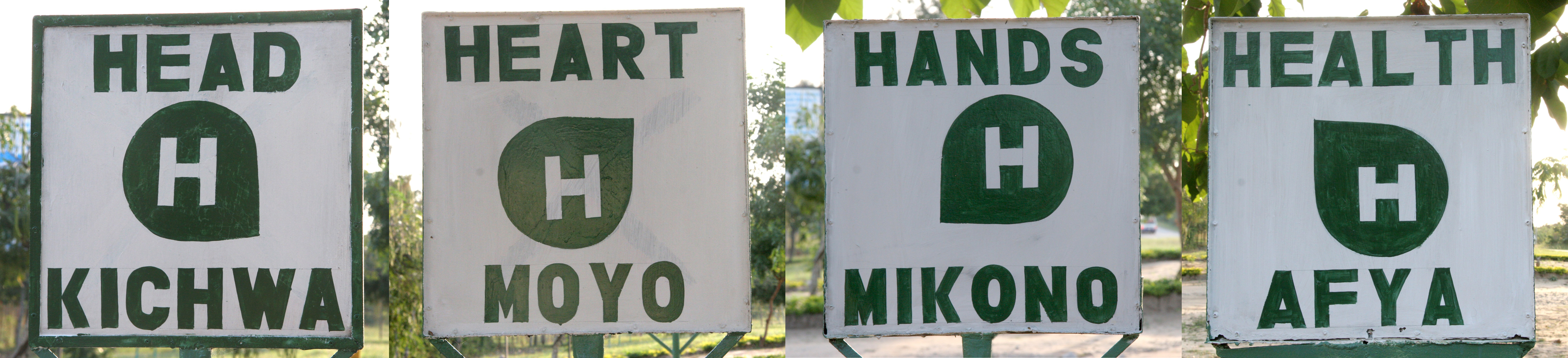 4-H motto Tanzania